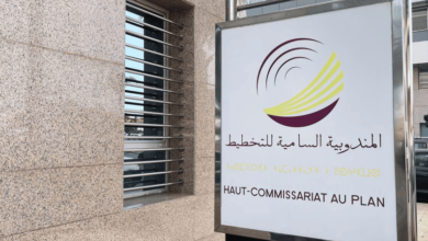 Le HCP Modernise son Enquête Nationale sur l'Emploi