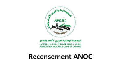 recensement-anoc