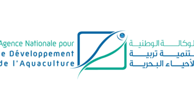 Concours de Recrutement ANDA 2025 (8 Postes)