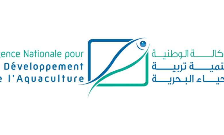 Concours de Recrutement ANDA 2025 (8 Postes) 1 Concours de Recrutement ANDA 2025 (8 Postes)
