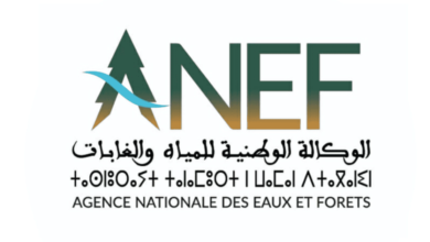 Concours de Recrutement ANEF 2025 (59 Postes)