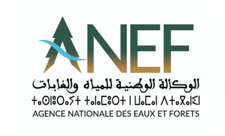 Concours de Recrutement ANEF 2025 (59 Postes)