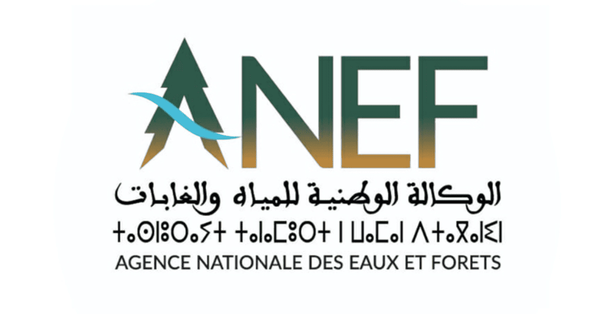 Concours De Recrutement ANEF 2025 59 Postes Alwadyfa