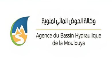Concours Agence du Bassin Hydraulique de la Moulouya 2025 (3 Postes)