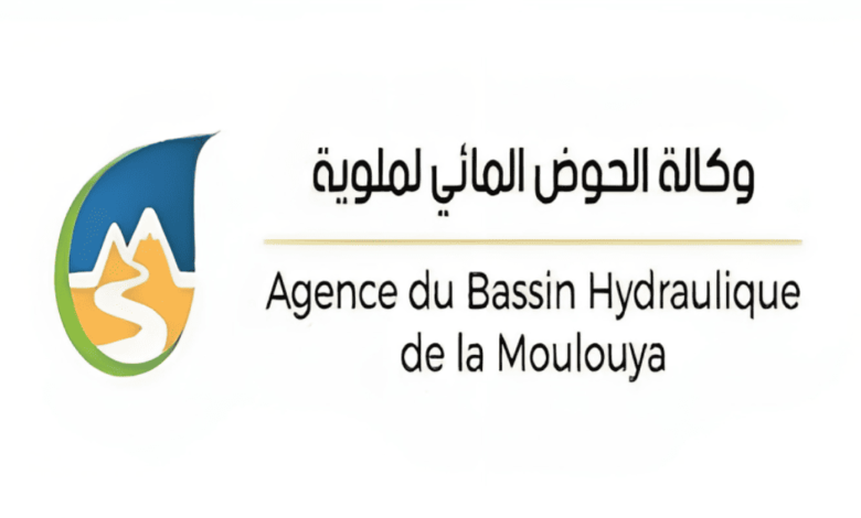 Concours Agence du Bassin Hydraulique de la Moulouya 2025 (3 Postes) 1 Concours Agence du Bassin Hydraulique de la Moulouya 2025 (3 Postes)