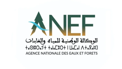 Concours Agence Nationale des Eaux et Forêts ANEF 2025 (59 postes)