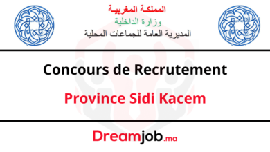 Concours de Recrutement Province Sidi Kacem 2025 (19 Postes)