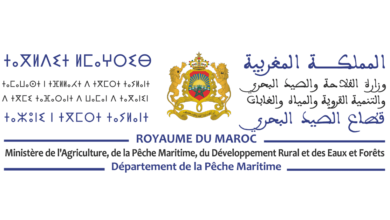 Département de la Pèche Maritime Concours Emploi Recrutement