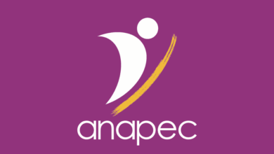Guide pour Trouver un Emploi à l'Anapec