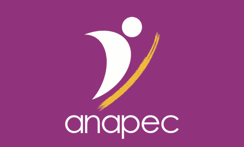 Guide pour Trouver un Emploi à l'Anapec 1 Guide pour Trouver un Emploi à l'Anapec