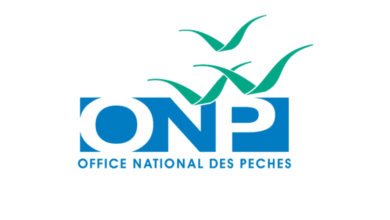 Office National des Pêches Concours Emploi Recrutement