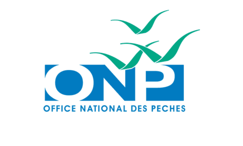 Rejoindre l’ONP: Appels à candidature pour des postes clés avant le 29 avril 1 Office National des Pêches Concours Emploi Recrutement