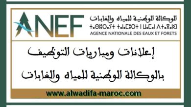 مباراة توظيف 29 مهندس دولة من الدرجة الأولى. آخر أجل للترشيح هو 07 مارس 2025