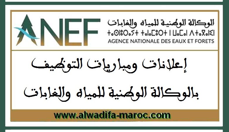 مباراة توظيف 29 مهندس دولة من الدرجة الأولى. آخر أجل للترشيح هو 07 مارس 2025 1 مباراة توظيف 29 مهندس دولة من الدرجة الأولى. آخر أجل للترشيح هو 07 مارس 2025