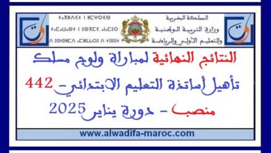 النتائج النهائية لمباراة ولوج مسلك تأهيل أساتذة التعليم الابتدائي- 442 منصب دورة يناير 2025