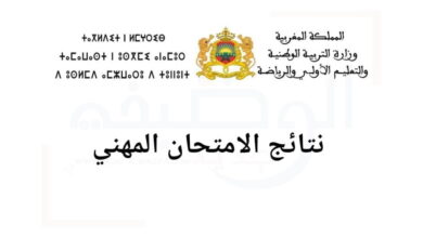 نتائج الامتحان المهني 2025 بالمغرب جميع الأسلاك والهيئات