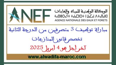 مباراة توظيف 3 متصرفين من الدرجة الثانية تخصص قانون المنازعات. آخر أجل هو 4 أبريل 2025