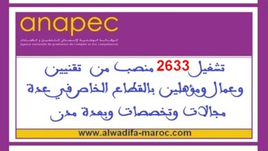 تشغيل 2633 منصب من تقنيين وعمال ومؤهلين بالقطاع الخاص في عدة مجالات وتخصصات وبعدة مدن