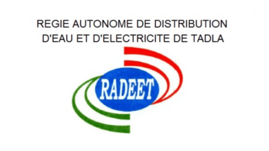 Concours de Recrutement RADEET 2025 (25 Postes)