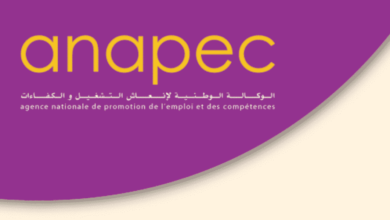 ANAPEC Recrutement de 1917 postes dans le secteur privé