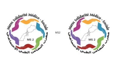 MS2 Emploi Recrutement