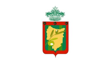 Concours de Recrutement Province Driouch 2025 (82 Postes)