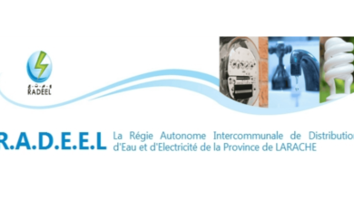 Concours de Recrutement RADEEL 2025 (28 Postes)