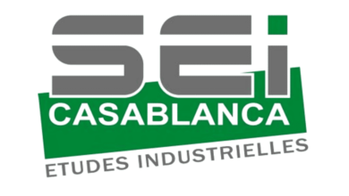 SEI Groupe Emploi Recrutement