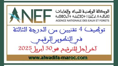 مباراة توظيف 04 تقنيين من الدرجة الثالثة في التطوير الرقمي. آخر أجل للترشيح هو 30 أبريل 2025