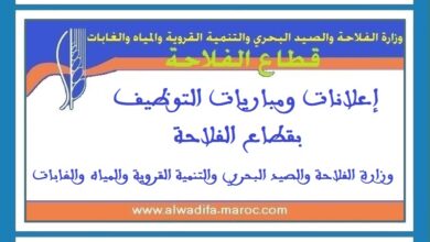 قرار تمديد آجال إيداع ملفات ترشيح مباراة توظيف 15 مهندس للدولة من الدرجة الأولى. آخر أجل للترشيح هو 24 أبريل 2025