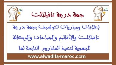 مباراة توظيف 01 اطار متعاقد حاصل على اجازة في اللغات الاجنبية. آخر أجل هو 28 ماي 2025