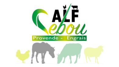 Alf Sebou