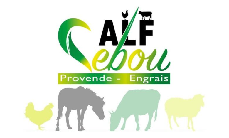Alf Sebou recrute des chauffeurs pro à Kénitra et El Jadida – Postulez dès maintenant 1 Alf Sebou