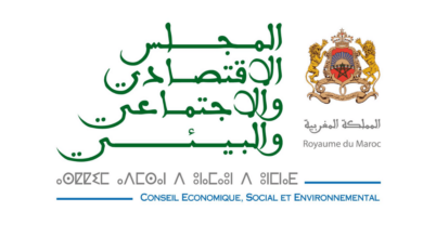 Concours de Recrutement CESE 2025 (3 Postes)