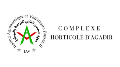 Inscription CHA Agadir Techniciens Spécialisés 2025/2026