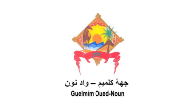 Concours Conseil Régional de Guelmim Oued-Noun 2025 (17 postes)