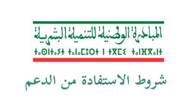 التسجيل في دعم المبادرة الوطنية للتنمية البشرية في المغرب