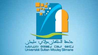 Concours Université Sultan Moulay Slimane 2025 (17 Postes)