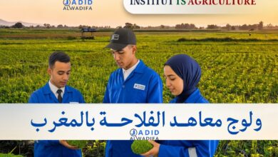 Inscription Concours ITSA 2025/2026 التسجيل في المعاهد الفلاحية