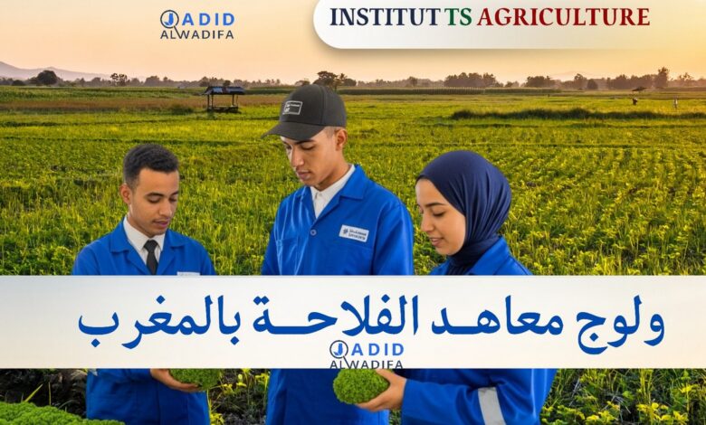 Inscription Concours ITSA 2025/2026 التسجيل في المعاهد الفلاحية 1 Inscription Concours ITSA 2025/2026 التسجيل في المعاهد الفلاحية