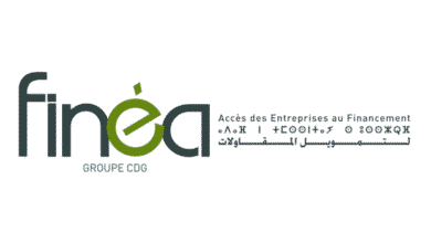 Finéa Groupe recrute un chargé d'études et développement SI