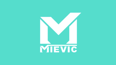 Mievic Maroc recrute, opportunités à Casablanca et Fès 3 MIEVIC MAROC recrute à Casablanca, plusieurs postes marketing à saisir