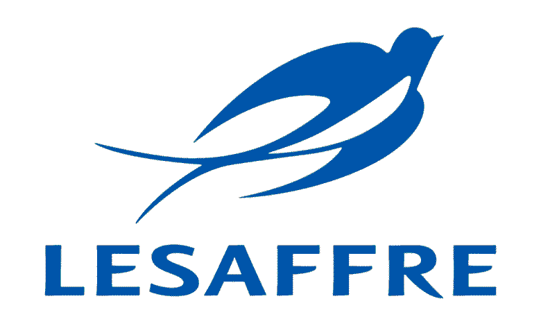 Lesaffre Maroc ouvre un stage de 3 mois au service Achats 1 Lesaffre Maroc ouvre un stage de 3 mois au service Achats